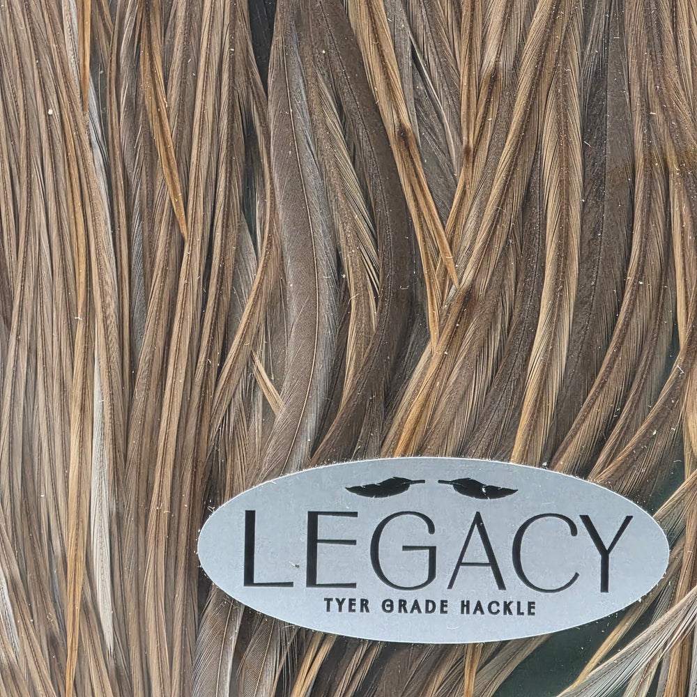 Metz Saddle Legacy
