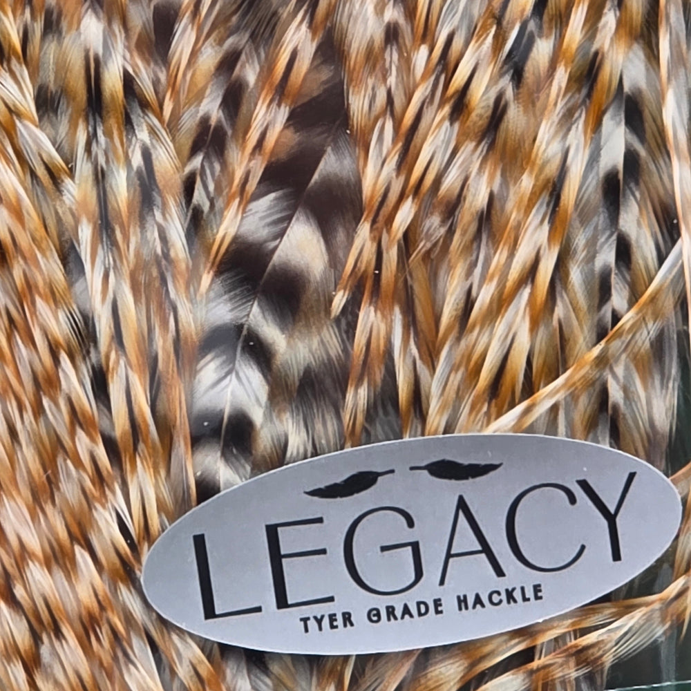 Metz Saddle Legacy