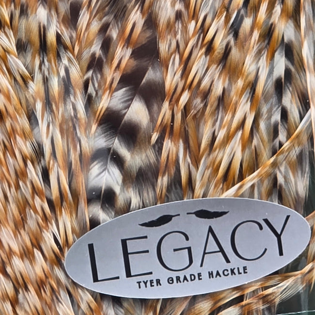 Metz Saddle Legacy