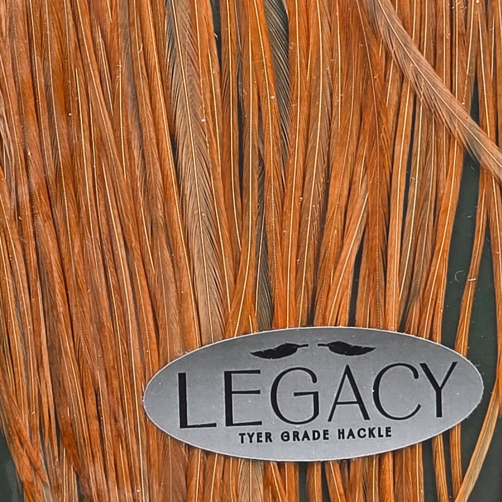 Metz Saddle Legacy