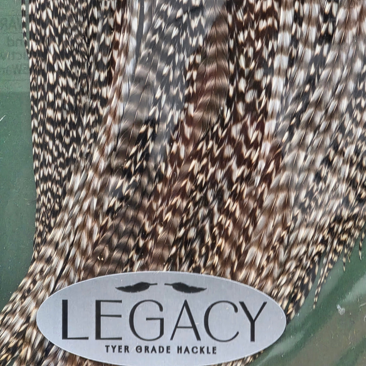 Metz Neck Legacy