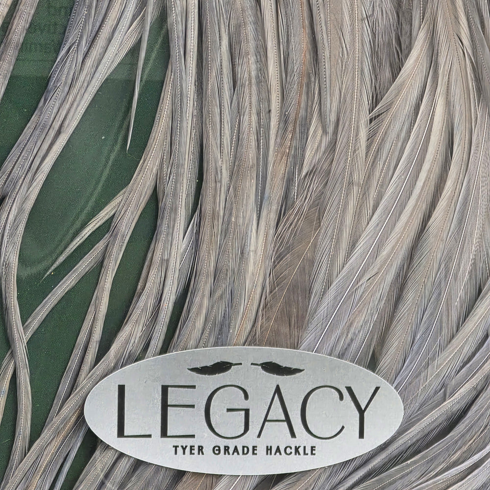 Metz Saddle Legacy