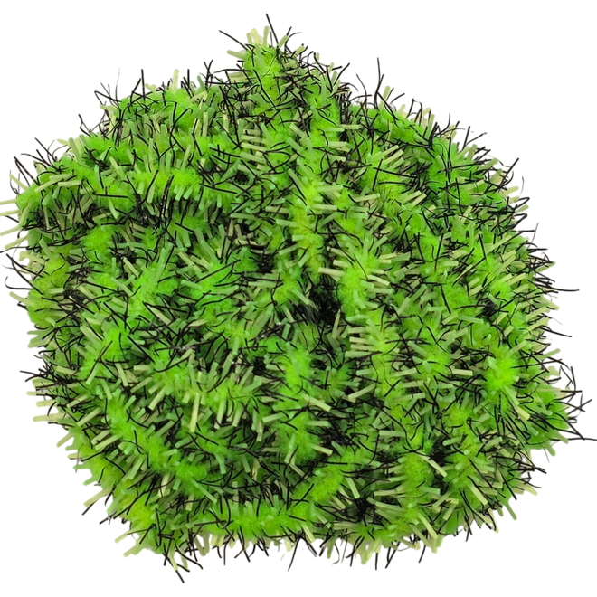 The Hairy Caterpillar