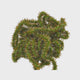 The Glistening Caterpillar