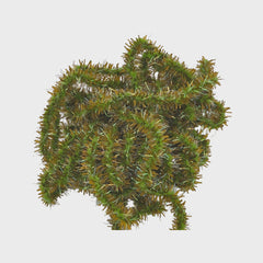 The Glistening Caterpillar