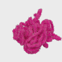 The Glistening Caterpillar