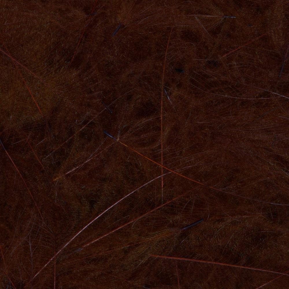 4100640_I_1