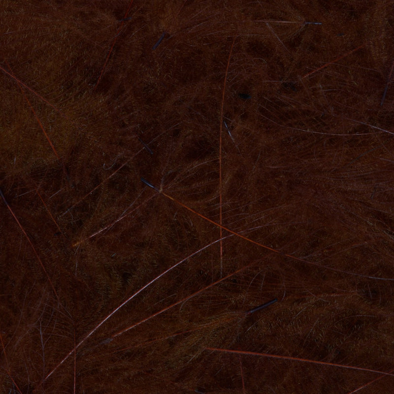 4100640_I_1