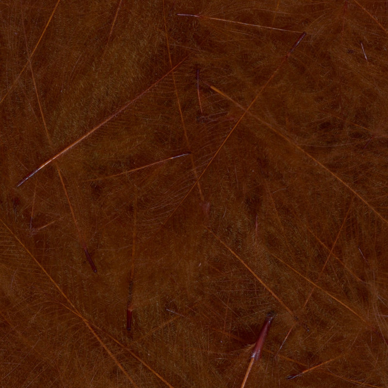 4100645_I_1