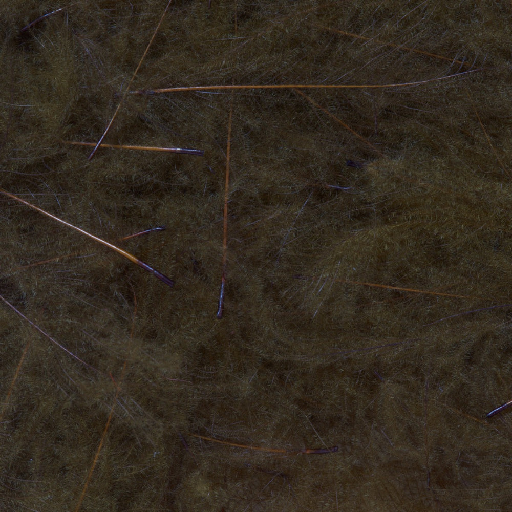 4100650_I_1
