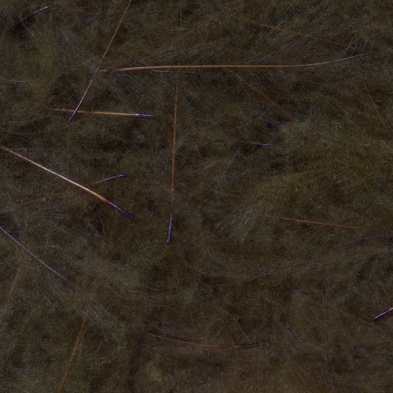 4100650_I_1