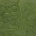 Pale Olive