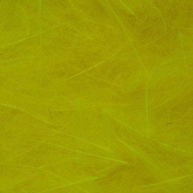CDC Feathers