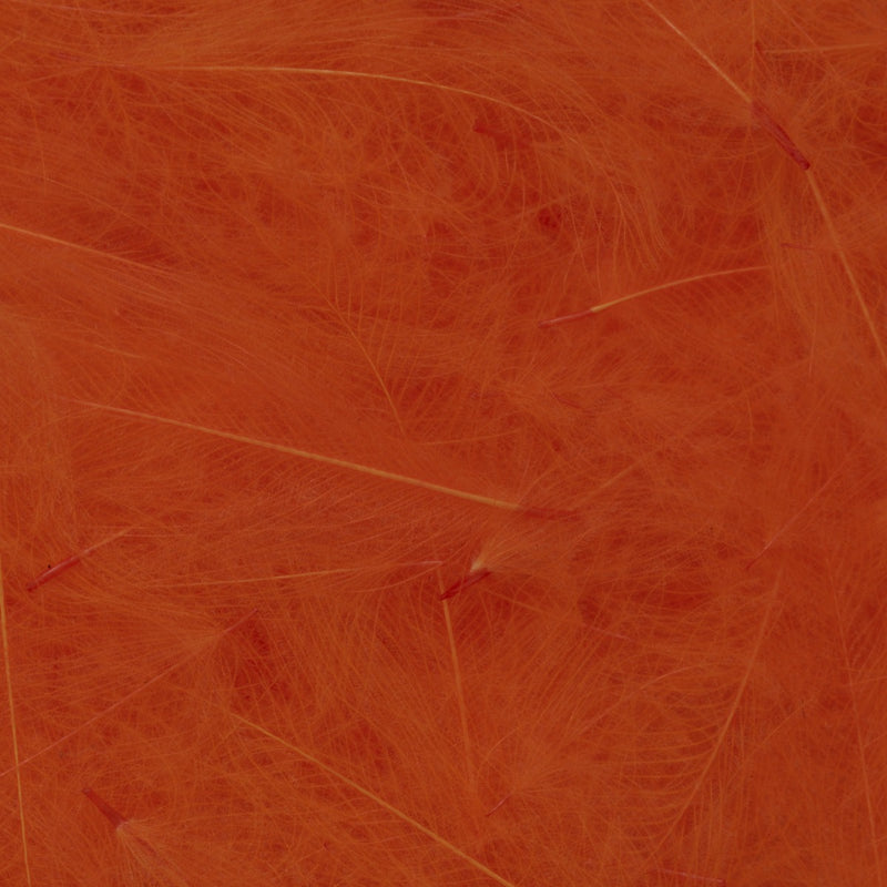 4100690_I_1