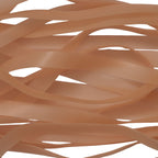 Translucent Flesh