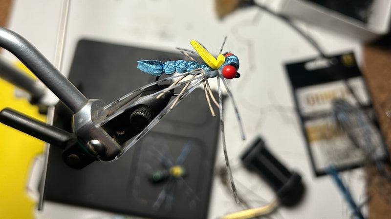 Mr. Wiggly Foam Bug Variation 