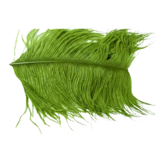 Ostrich Herl
