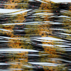 Rainbow Trout