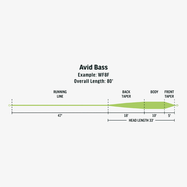 Avid Bass Fly Line