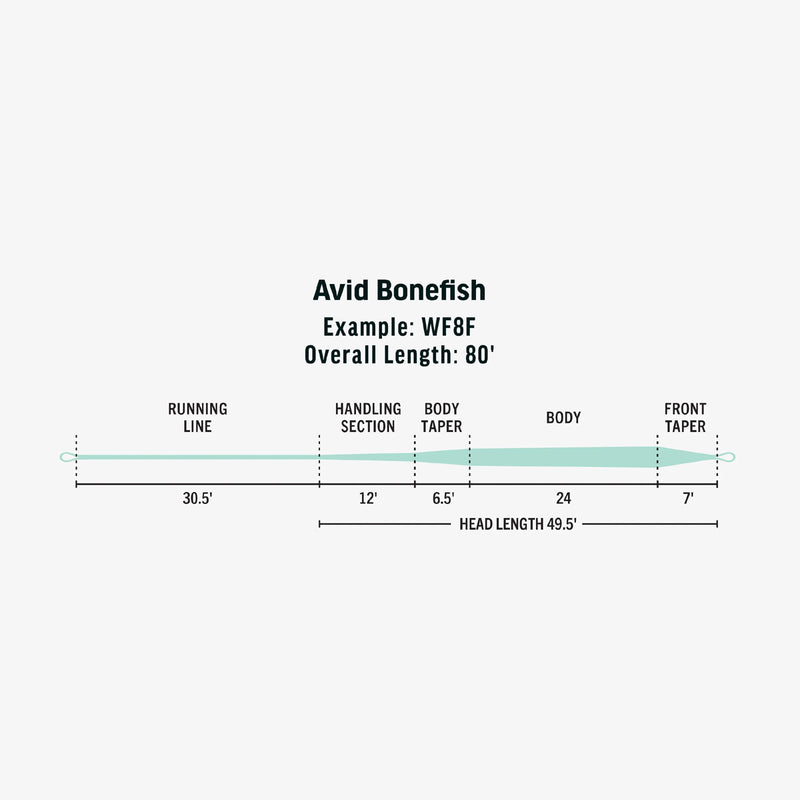 AvidBonefishcopy
