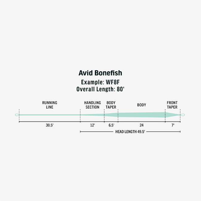 Avid Bonefish Fly Line