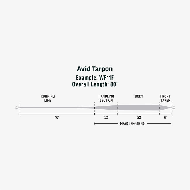 Avid Tarpon Fly Line