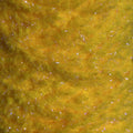 EggStatic