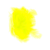 BFCH030FYL