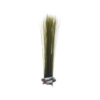 green olive