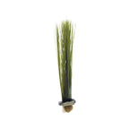 medium olive