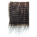 BGFR001DBR_3deb5555-9e2c-4819-9f02-bb0e8479ed10