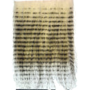 BGFR001WBB_74fb1f66-43ec-4826-a6e5-518d7ac2e7ab