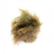 BSCD016BOL_1