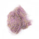BSCD016SOL_1