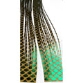 SiliLegs
