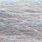 Steelhead silver