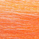 BWF04-orange