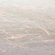 BWF06-shrimp