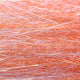 BWF16-redfish