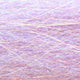 BWF36-anchovy