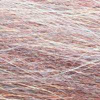 BWF37-bronzeback