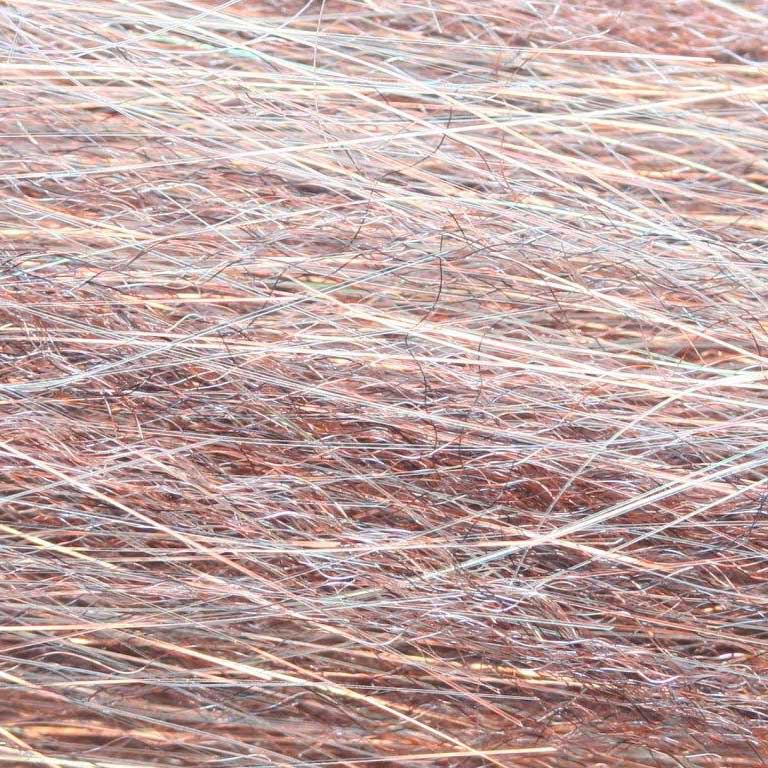 BWF37-bronzeback