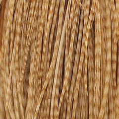 BarredMediumGinger_083111_e6467079-9de8-4061-8b7a-