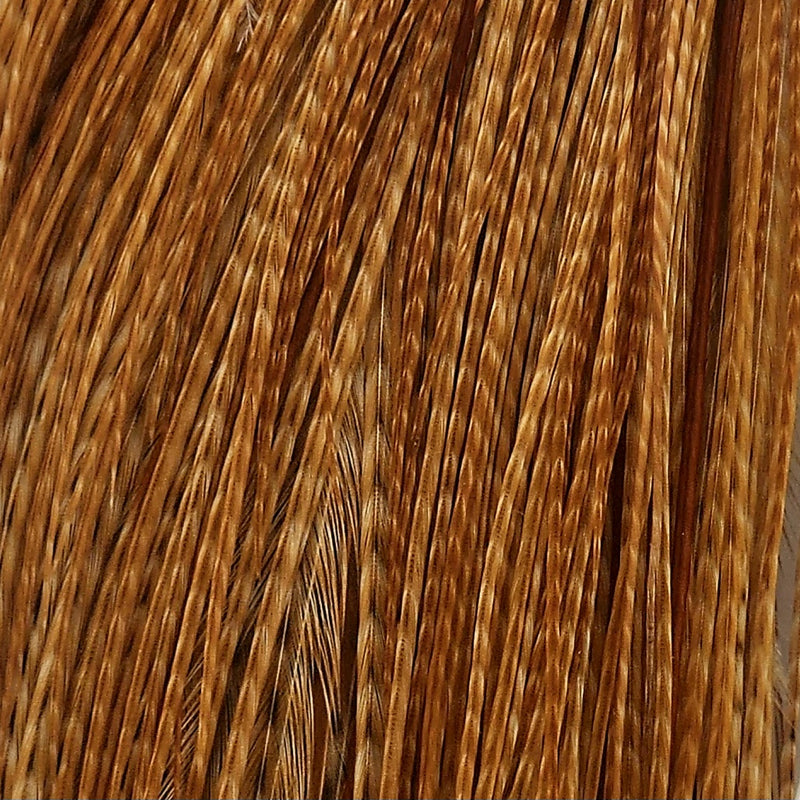 Barreddarkginger_111951