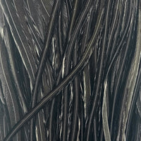 Black1_124503_531f71eb-c419-46a2-a882-9773de0e245f