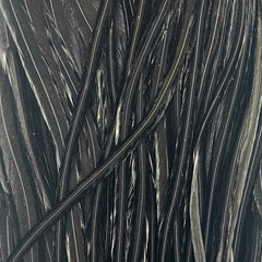 Black1_124503_531f71eb-c419-46a2-a882-9773de0e245f