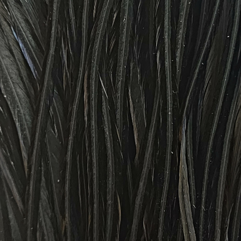 Black2