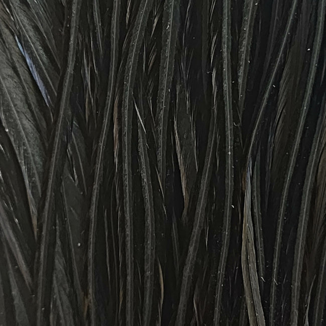 Black2_20290c17-2fde-4334-acc4-a44d7007d5fe