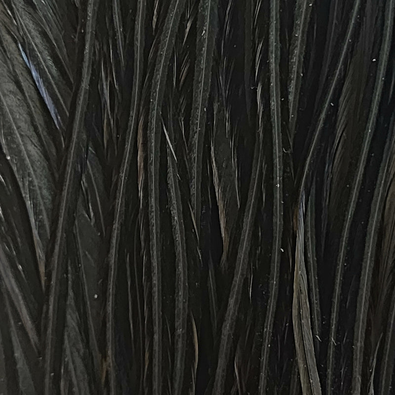 Black2_a94b8d3d-314a-4759-8e7c-4c308426a1fb