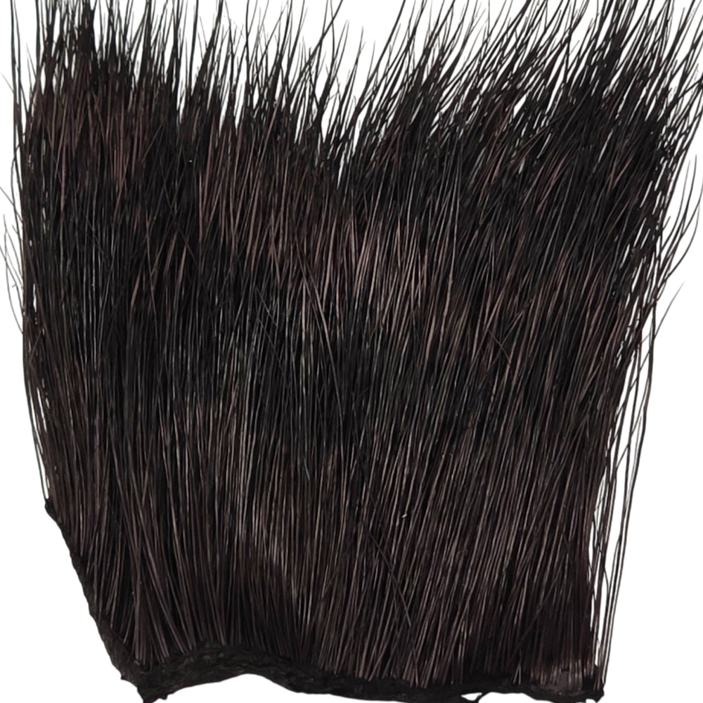 Peccary